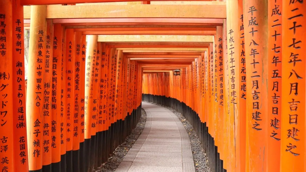 Premier voyage au Japon : le guide complet pour bien partir