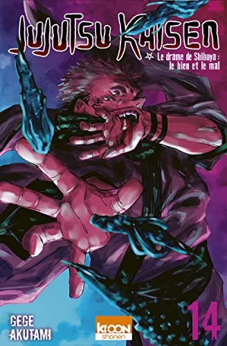 Jujutsu Kaisen T.14