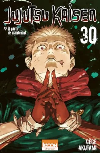 Jujutsu Kaisen T.30