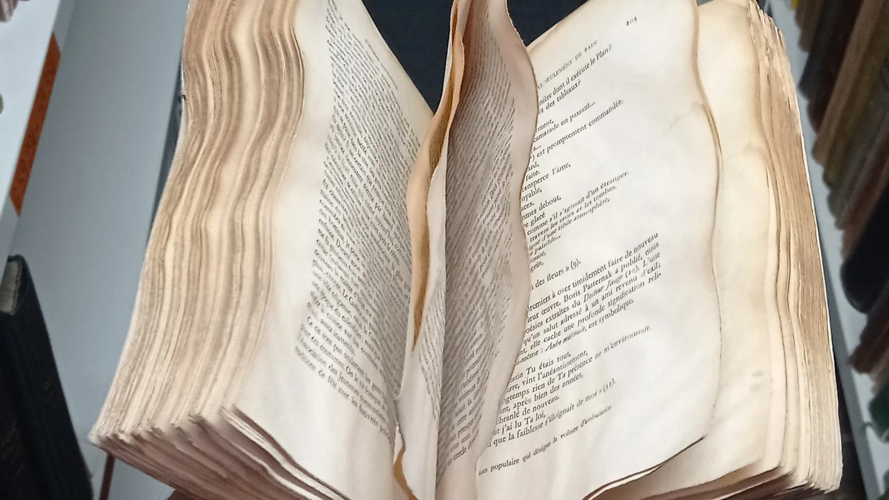 Pages d’un livre gondolées après un dégât des eaux, exemple de dommage au papier