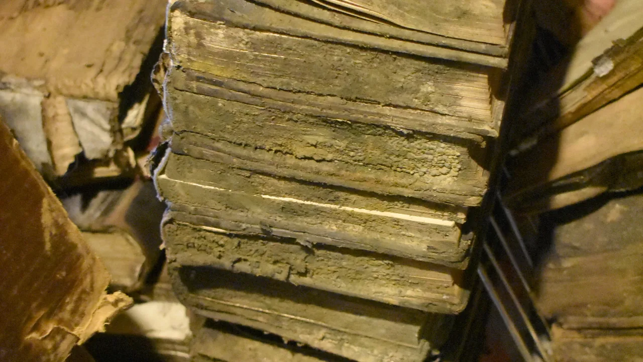 Livres non-mangas présentant une contamination importante par moisissure