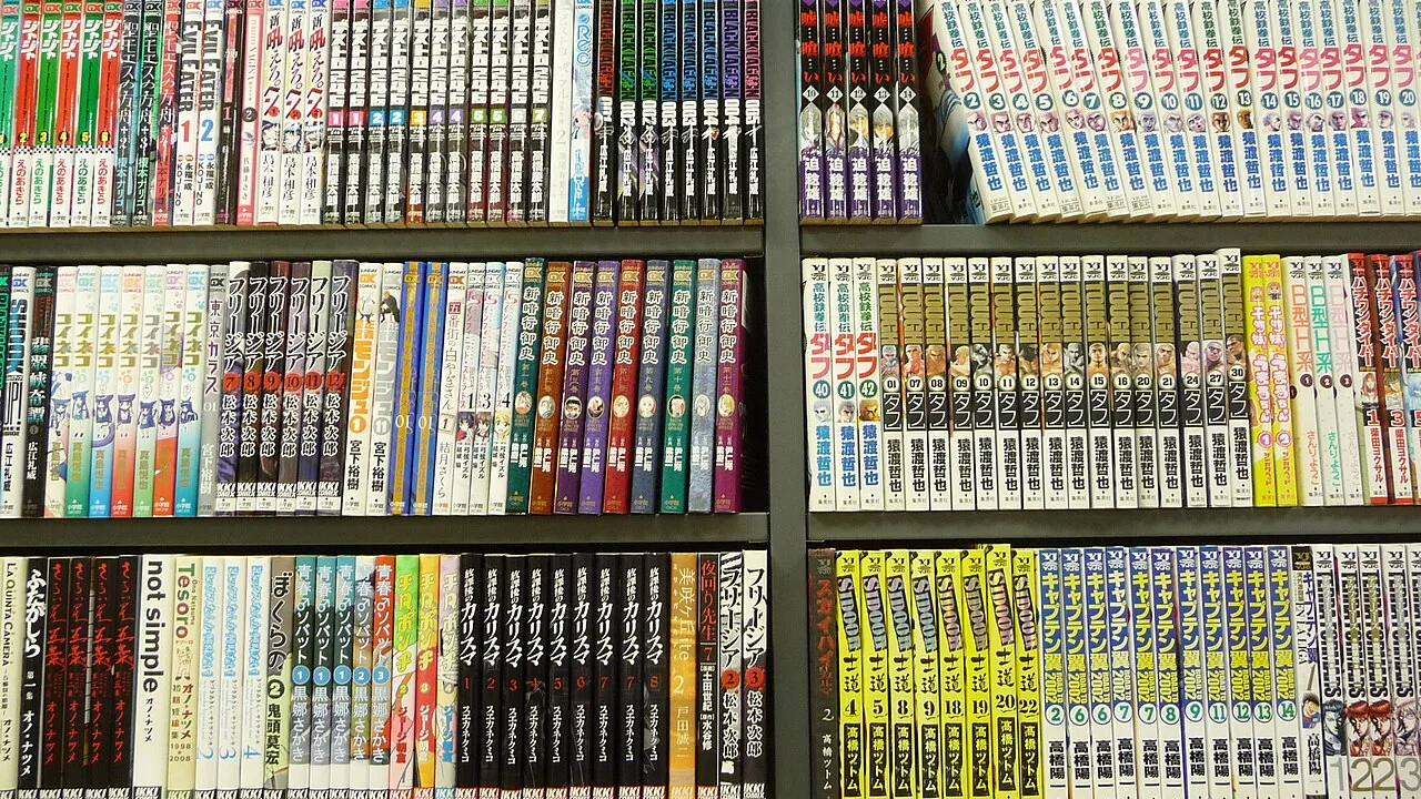 Rayonnage de volumes de mangas rangés à la verticale
