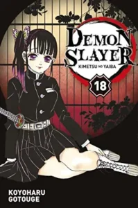 Couverture de Demon Slayer tome 18, édition française